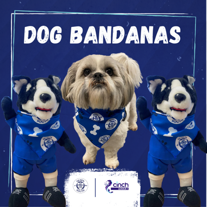 Picture of Dog Bandana